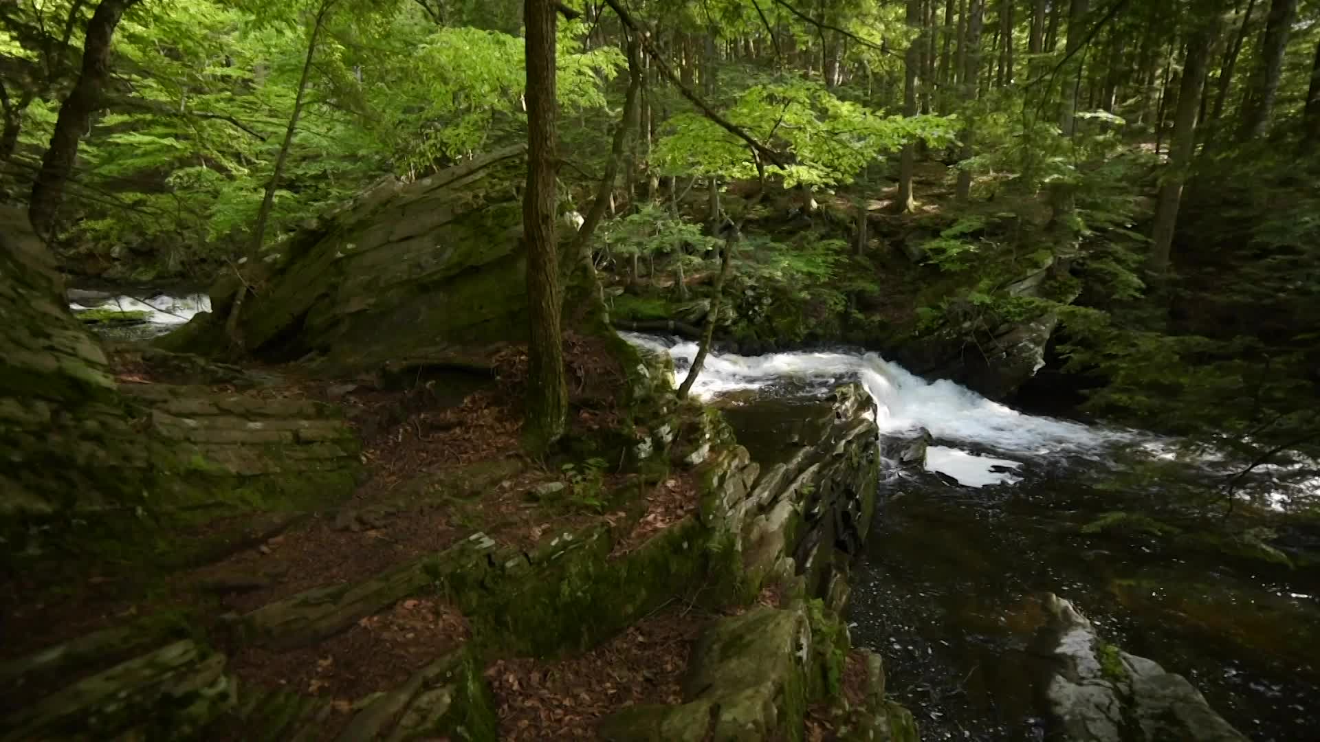 Thumbnail image for Scenic Travel